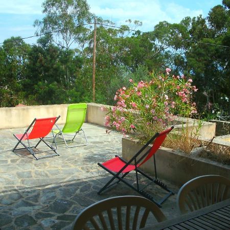 Location St Flo Appartement Saint-Florent  Buitenkant foto